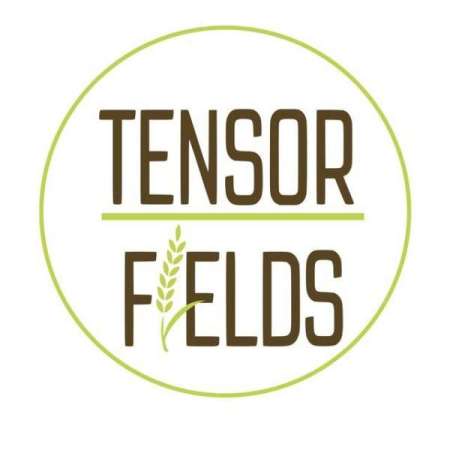 Terson Field