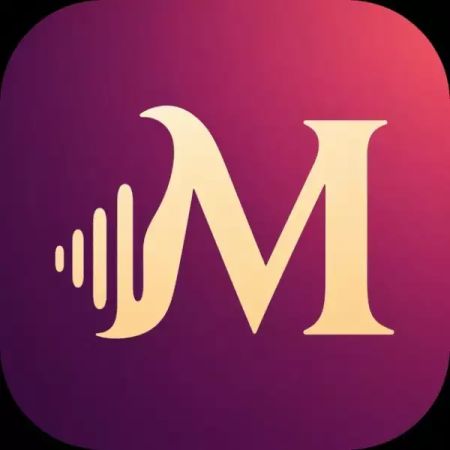 Молвица — аудио в текст