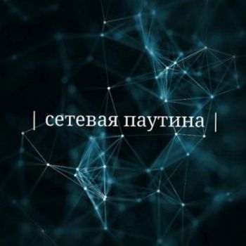 Сетевая паутина