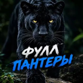ПАНТЕРА КАЗАНЬ | ФУЛЛ С КАЗАНИ