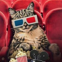 📺 ONLINE MOVIES - СЕРИАЛЫ И КИНО БЕСПЛАТНО