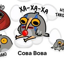 Сова Вова