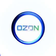 25 МИЛЛИОНОВ НА OZON | Продажи, стратегии, система