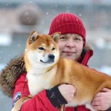 ПИТОМНИК СИБА ДЗЕМБИ