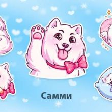 Самми