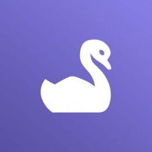 Random Animal