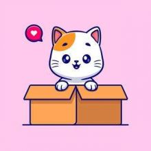 ? Nyan Nyan