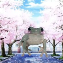 Лягушки жабятся / frogs ?