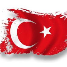 Турецкий язык | Turkish language