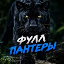 ПАНТЕРА КАЗАНЬ | ФУЛЛ С КАЗАНИ