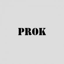 Кроссовки Prok