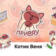 ? Котик Веня