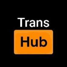 Trans hub 🦄