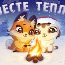 Вместе теплее котик и лисичка