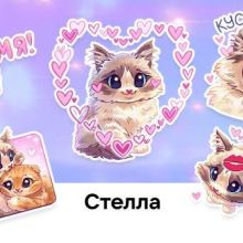 Стелла - кошечка!