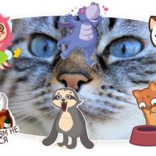 Telegram Stickers l Стикеры