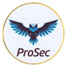 Telegram Professional Security