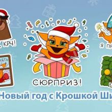 Новый год с Крошкой Ши