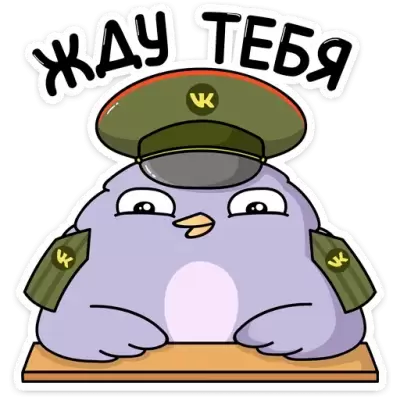 жду тебя