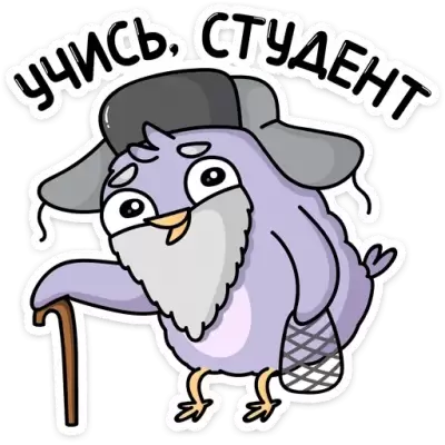 учись студент