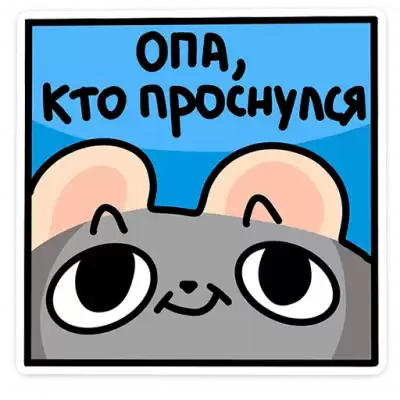 опа скто проснулся