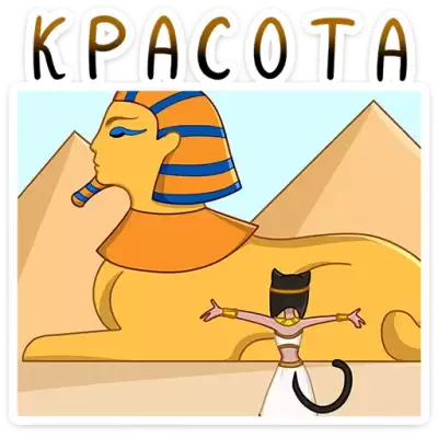 красота