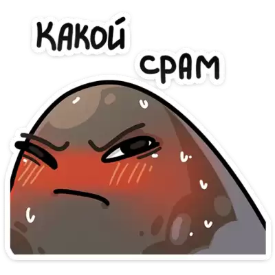 какой срам